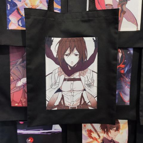 ataknikasa_jpg