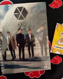 Exo_jpg