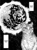 cats1_jpg